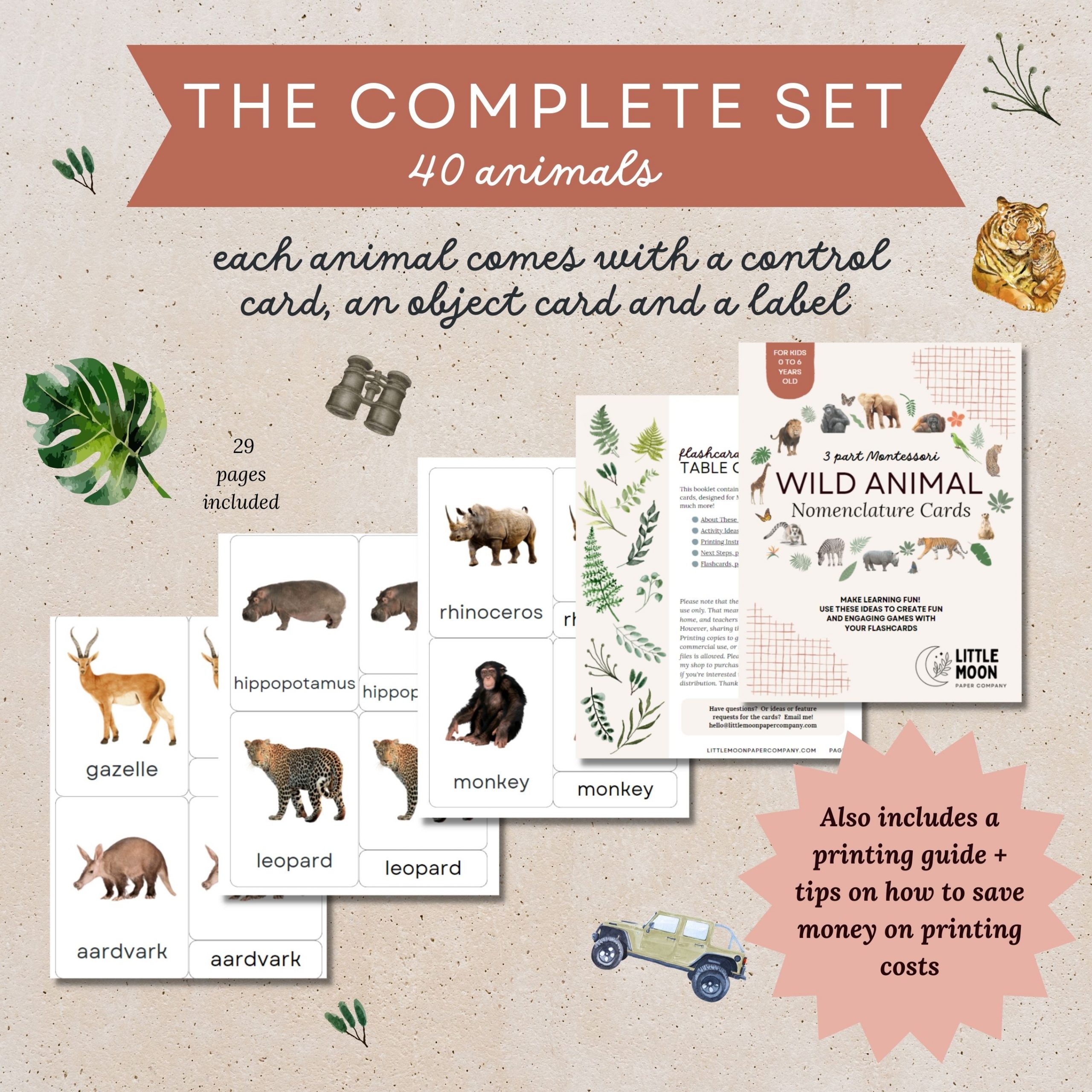Wild Animal Flash Cards - Little Moon Paper Co