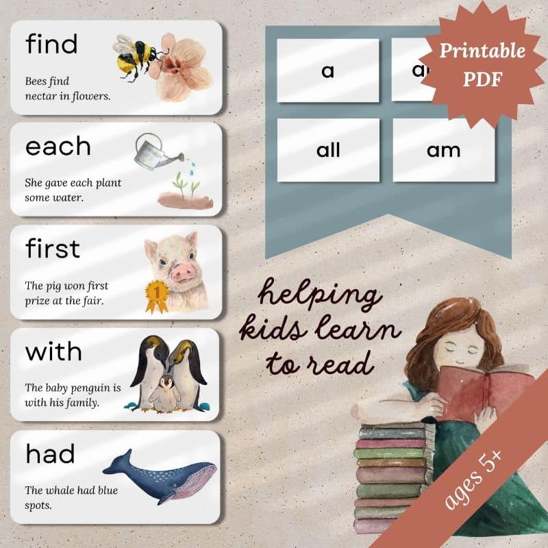 sight words flash cards with pictures