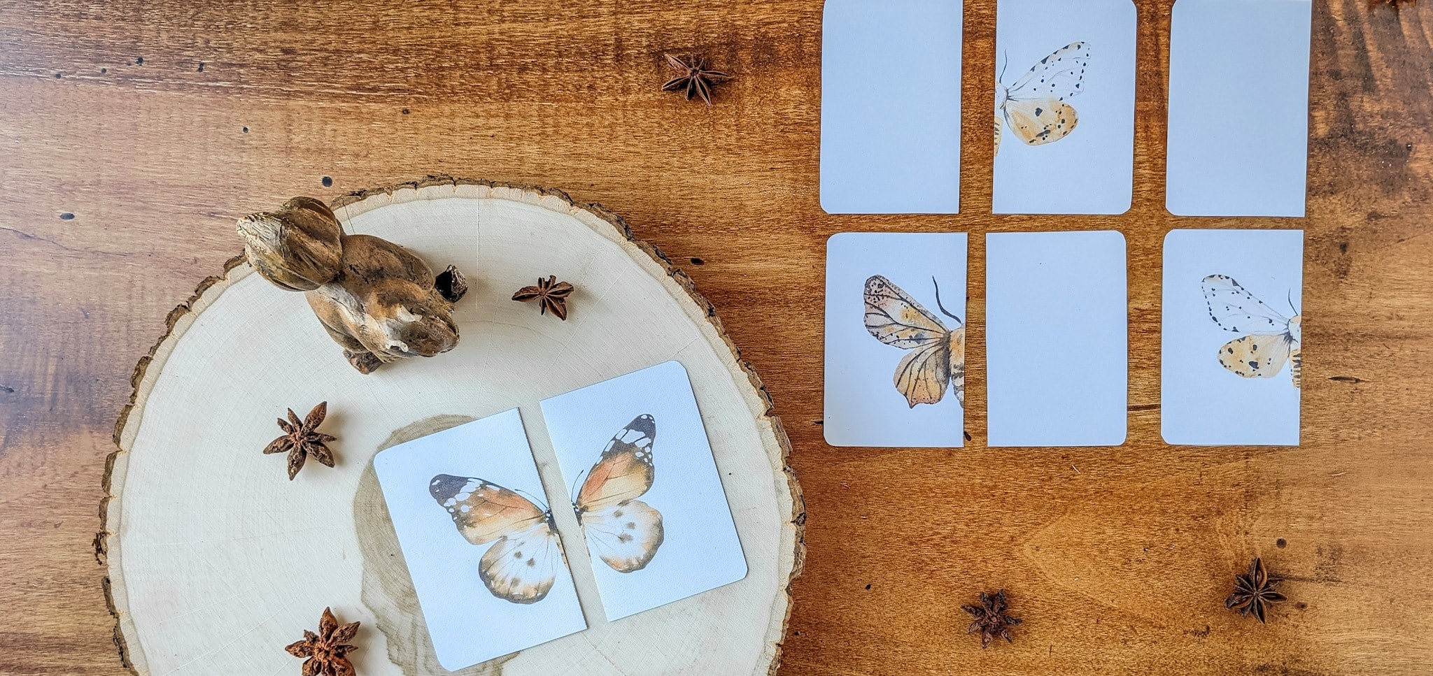 butterfly symmetry matching game