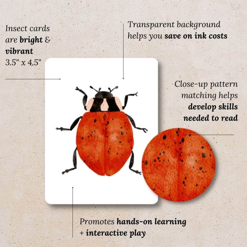 Bug Matching Game Printable - Little Moon Paper Co