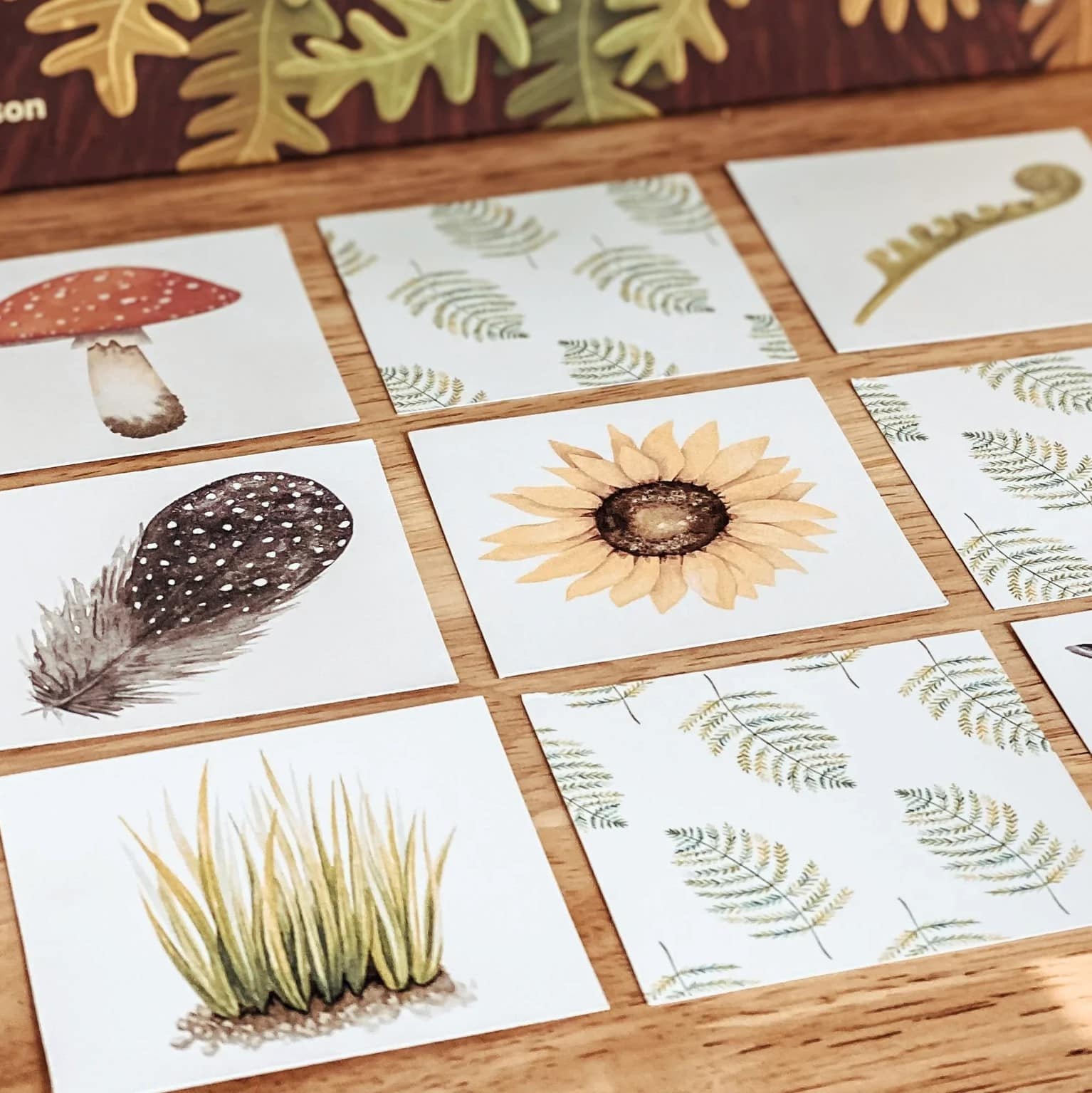 Nature Memory Match Cards