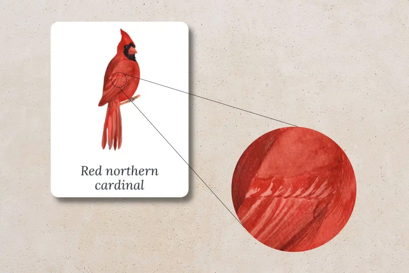 pattern recognition activities