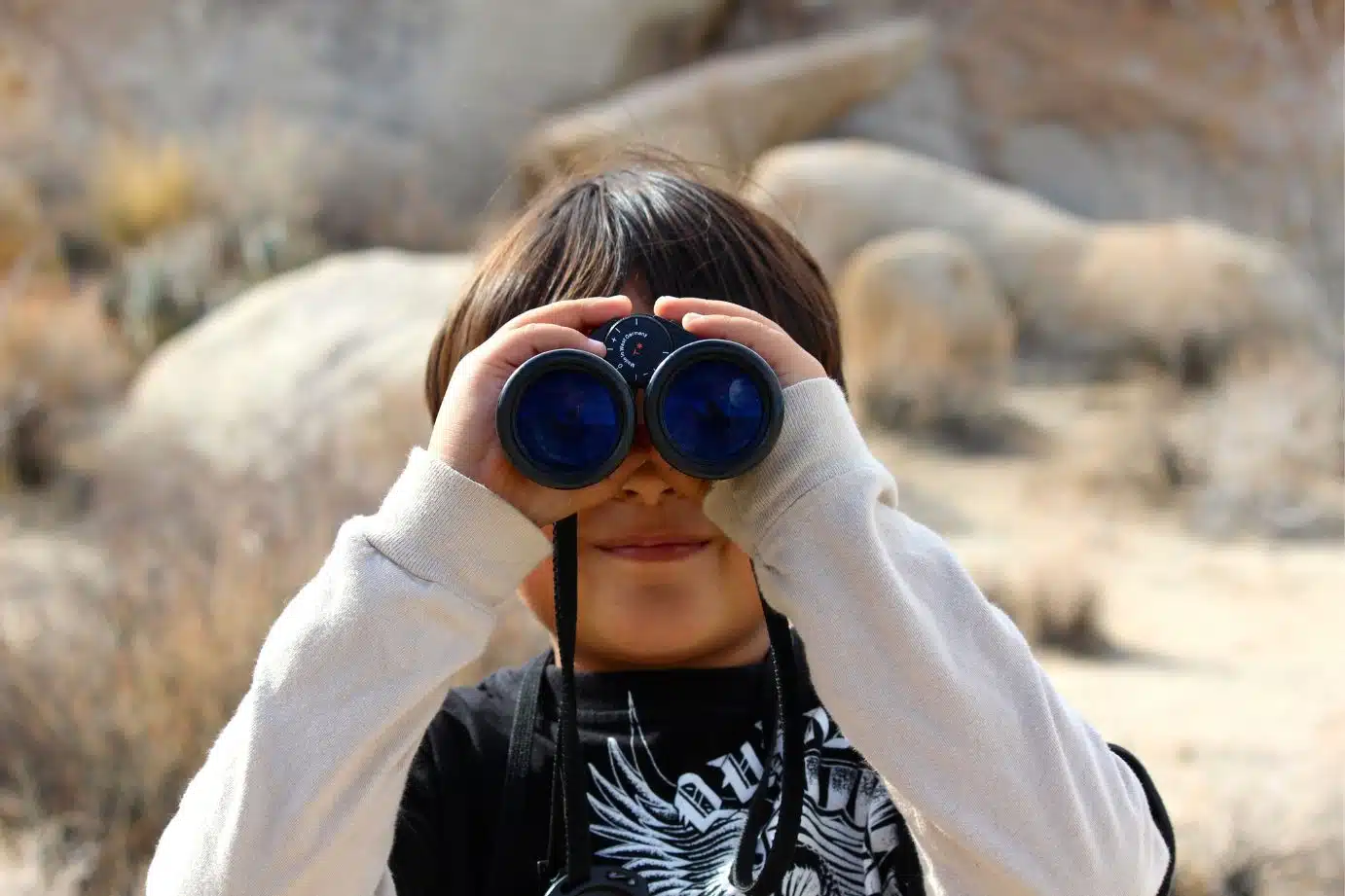 visual perception games