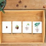 free 4 step sequencing pictures printable