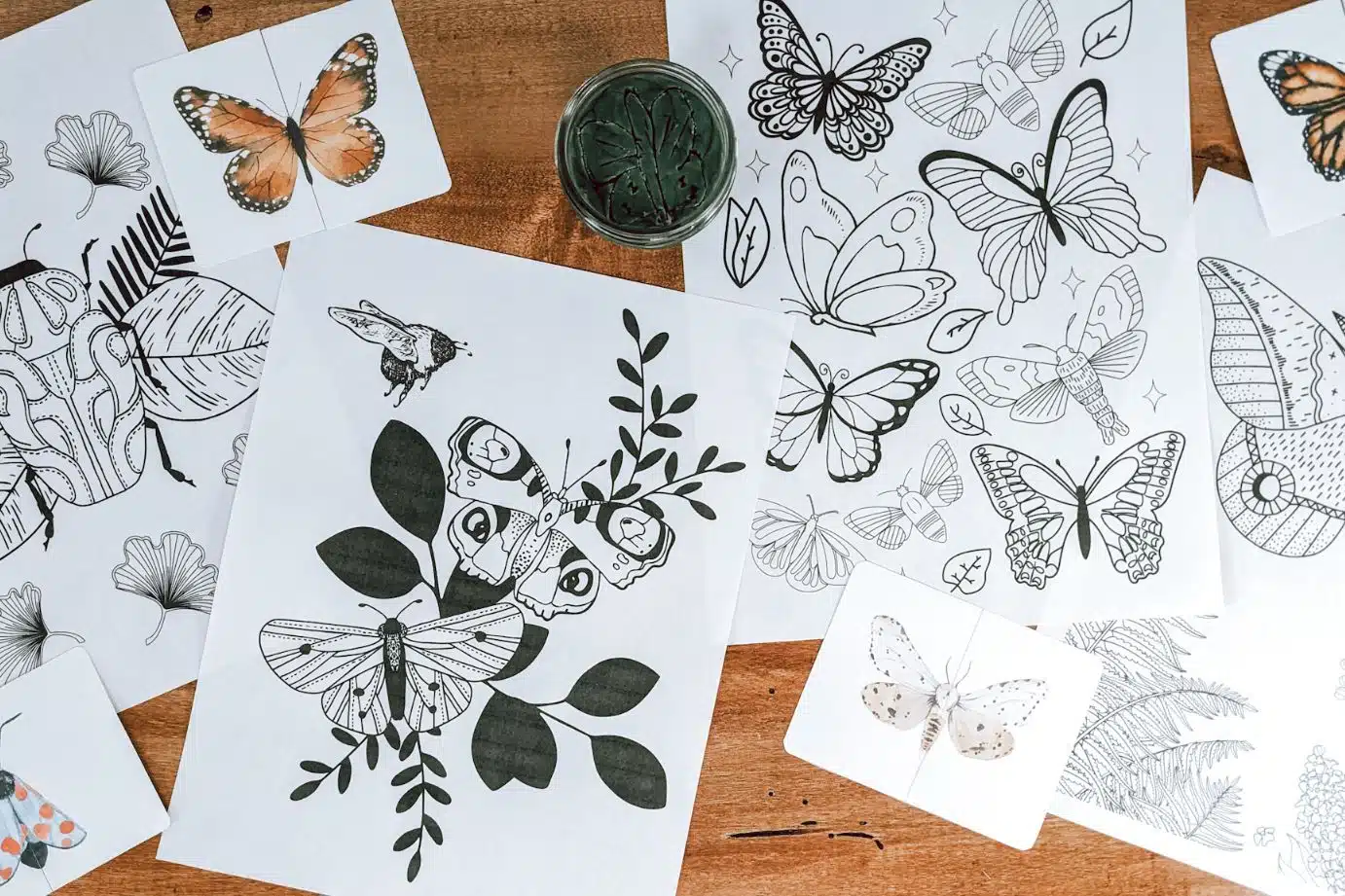 free butterfly coloring pages