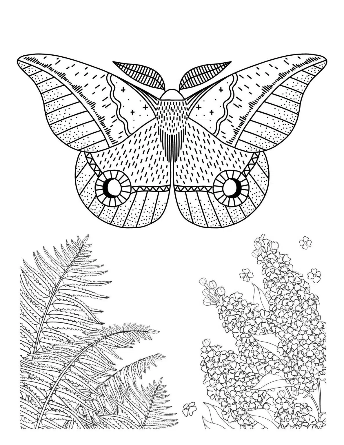 Free Simple Butterfly Coloring Pages - Little Moon