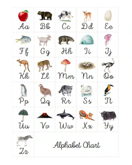 ABC chart in cursive free printable for preschool and pre-k kids