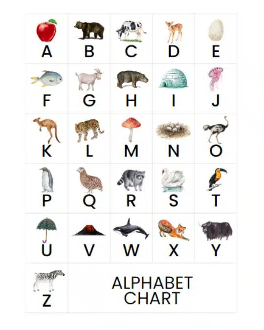 Uppercase letter alphabet chart. Free printable for learning the alphabet. Download and create at home for letter recognition activities.
