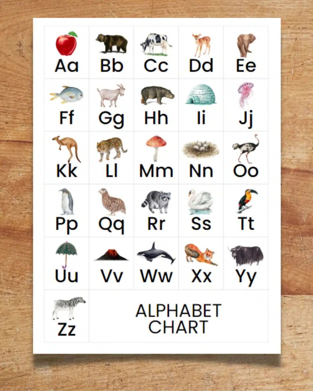 Alphabet chart laying on a wooden table. The ABC chart includes 26 letters of the English alphabet and next to each photo is a picture of a nature object or animal that corresponds to that letter.  The letters include both capital letters and lowercase letters.  In the lower right corner of the poster, it reads "Alphabet Chart" in text.