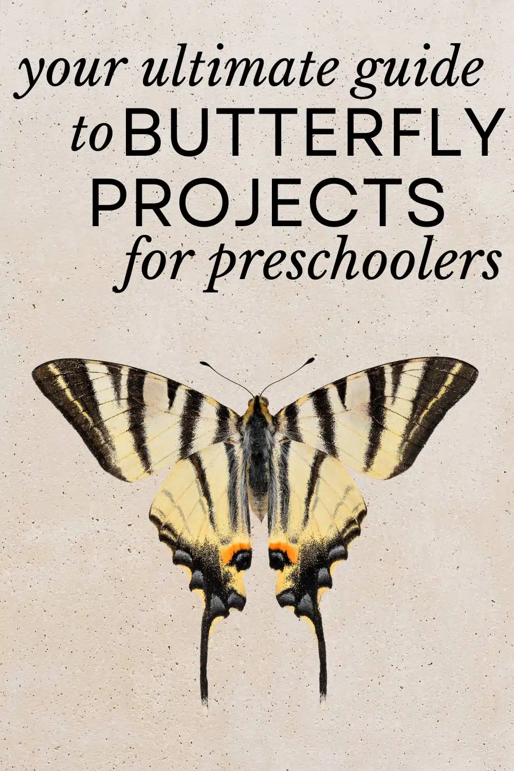 guide to butterfly projects for preschoolers