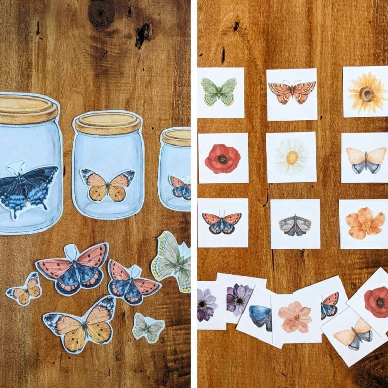 16+ Fun Butterfly Preschool Printables for Theme Lesson Plan