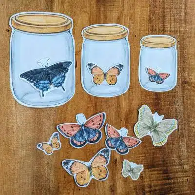 sorting and classifying activities for preschoolers